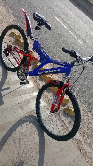 My Blue  Bounce Bike
