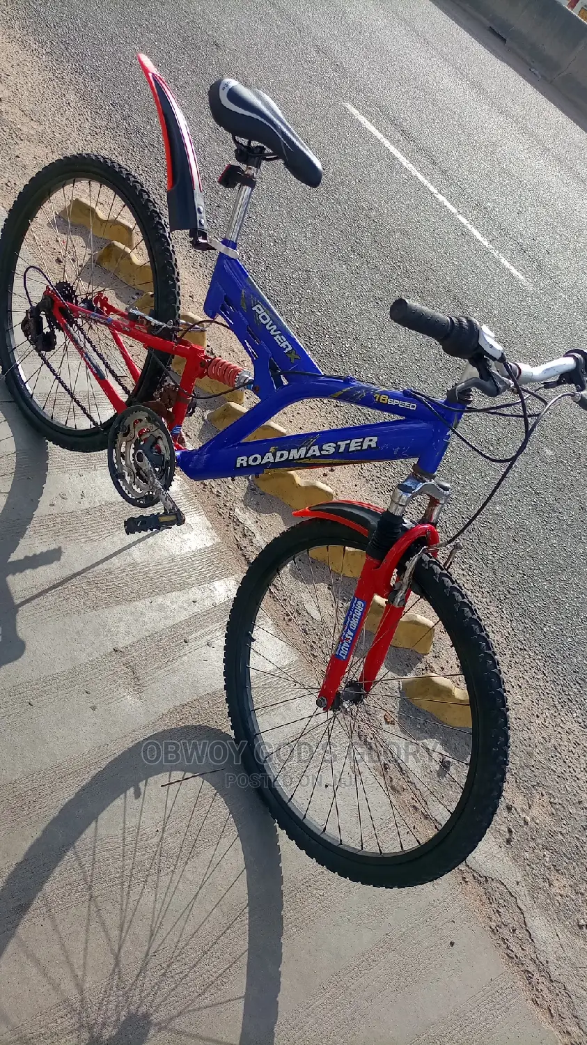 My Blue  Bounce Bike