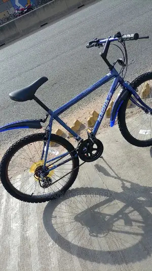 Mountain Bicycle