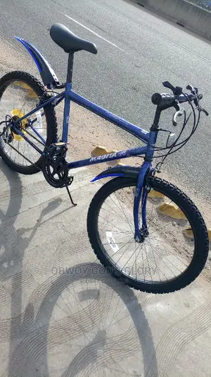 Mountain Bicycle