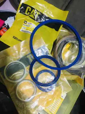 Hydraulic Seals and O Ring Kits