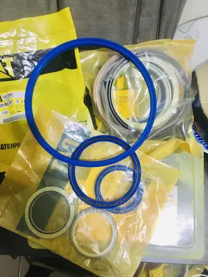 Hydraulic Seals and O Ring Kits