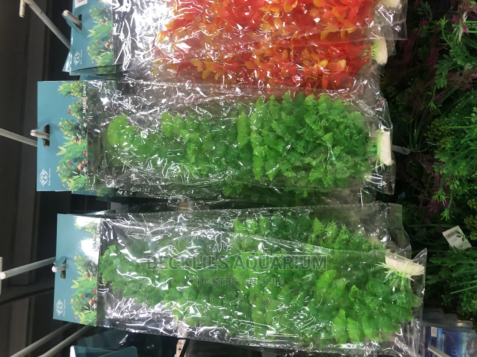 Aquarium Plants and Accessories