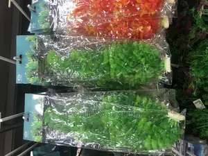 Aquarium Plants and Accessories