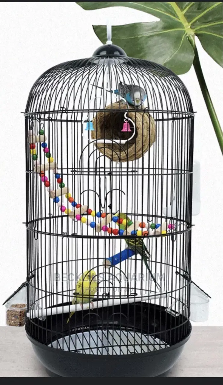 Quality Parrot Cages and Accessories