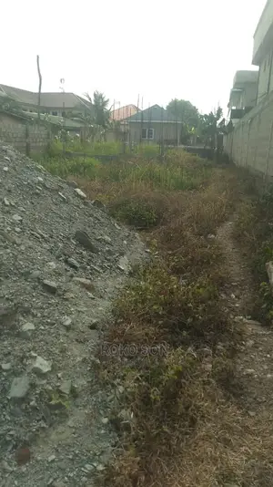 Half Plot for Sale at Haasto