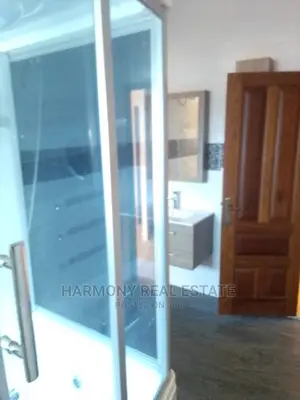 Big House to Let -Dzorwulu
