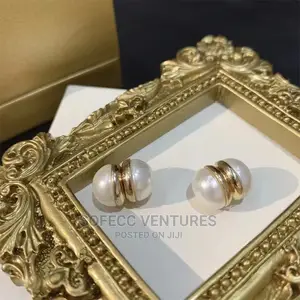 Magnetic Earrings for Ladies