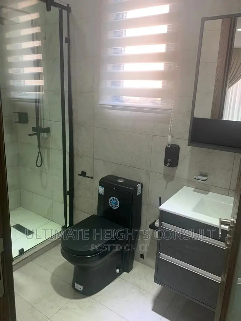 Furnished 1bdrm Apartment in Cantonment, Cantonments for Rent