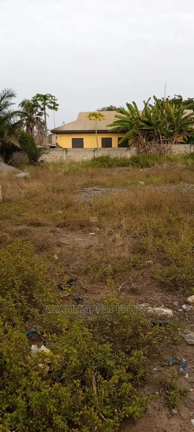 1 Barely Plot of Land for Sale at Asylum Down