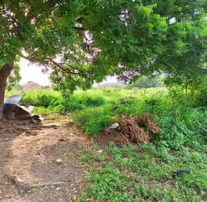 1000 Acres of Titled Land at Oyibi