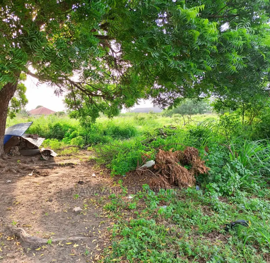 1000 Acres of Titled Land at Oyibi