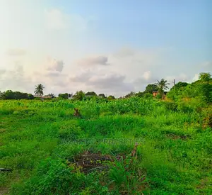 1000 Acres of Titled Land at Oyibi
