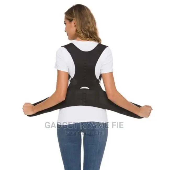 Back Support Belt