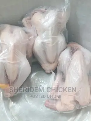 Hot Sale, Live and Well Dressed Full Chicken ,