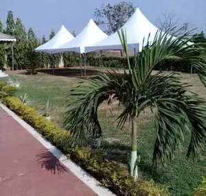 Marquees Canopies