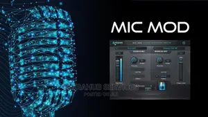 Mic Mod
-- Classic Microphone Modeler