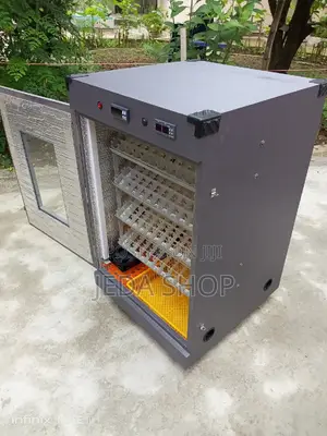 Automatic Egg Hatch Machine