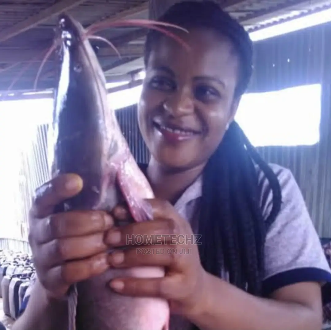 Profitable Fish Farming Durable Tarpaulin Pond