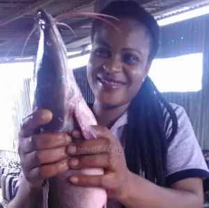 Profitable Fish Farming Durable Tarpaulin Pond