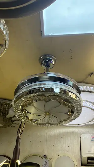 Ceiling Fan With Fancy Light