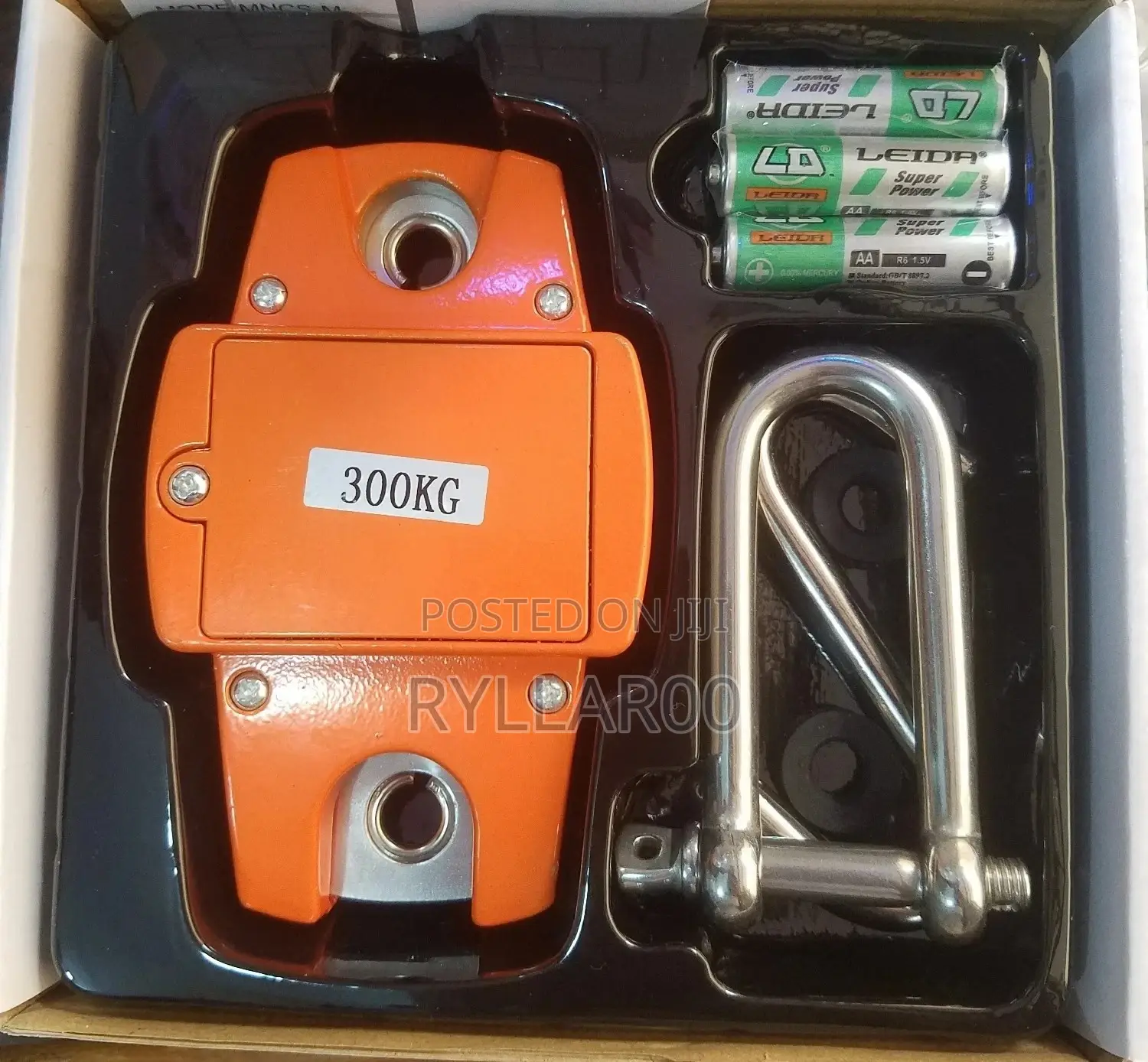 Minicrane Scale
