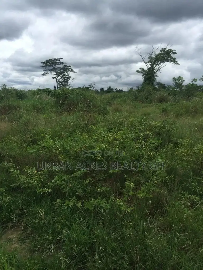 Volta Region - (Tafi) _ 85+ Acres Farmland