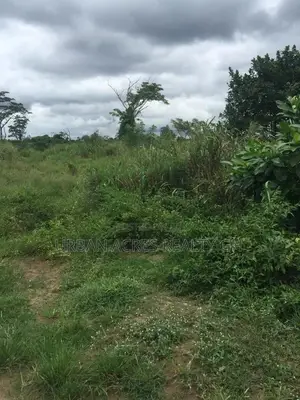 Volta Region - (Tafi) _ 85+ Acres Farmland