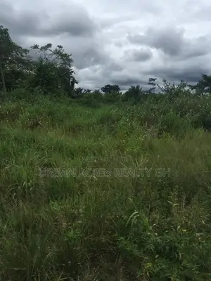 Volta Region - (Tafi) _ 85+ Acres Farmland