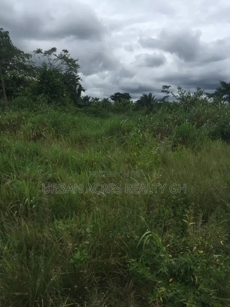 Volta Region - (Tafi) _ 85+ Acres Farmland