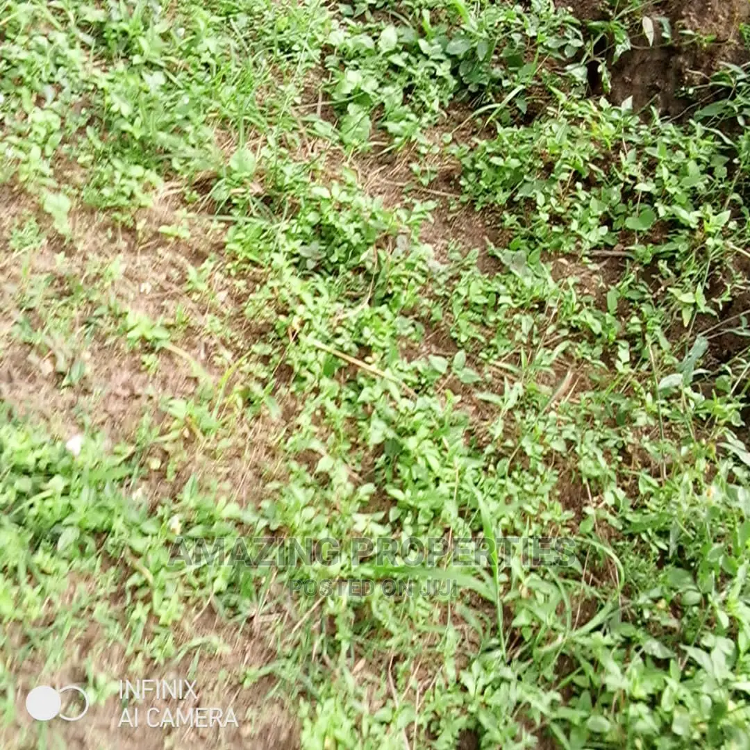 2 Plots of Land for Sale at Peduase Lodge,