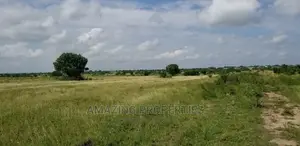 For Sale 5600+ Acres Mixed Agricultural Land Volta Region