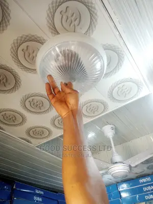 Double LIVA Ceiling Light.