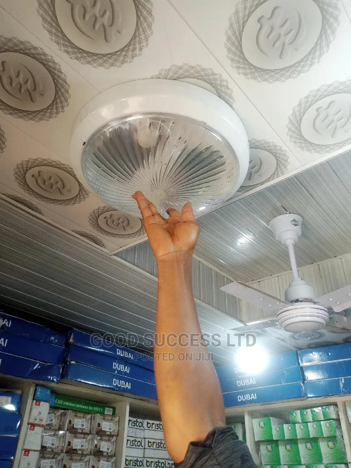 Double LIVA Ceiling Light.