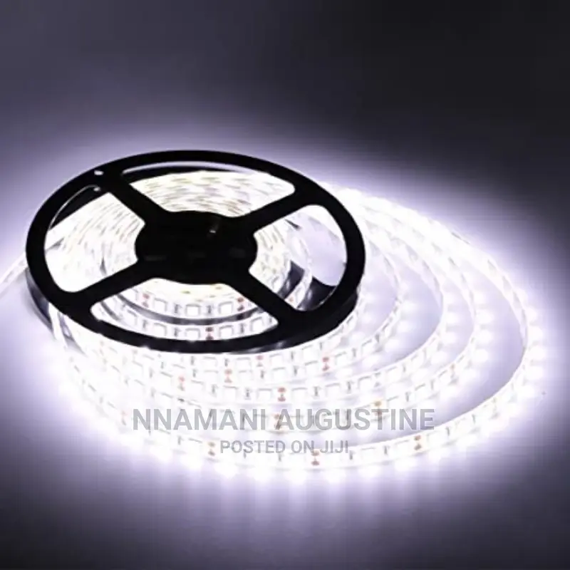 12v Smd Decoration Lights Latest