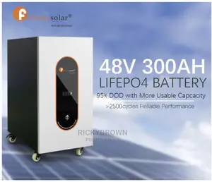 48v 300ah (15 Kwh) Felicity Lithium Ion Batteries