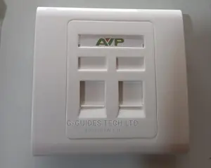 Avp Double Faceplate With Keystone Jack, Double Wall Socket