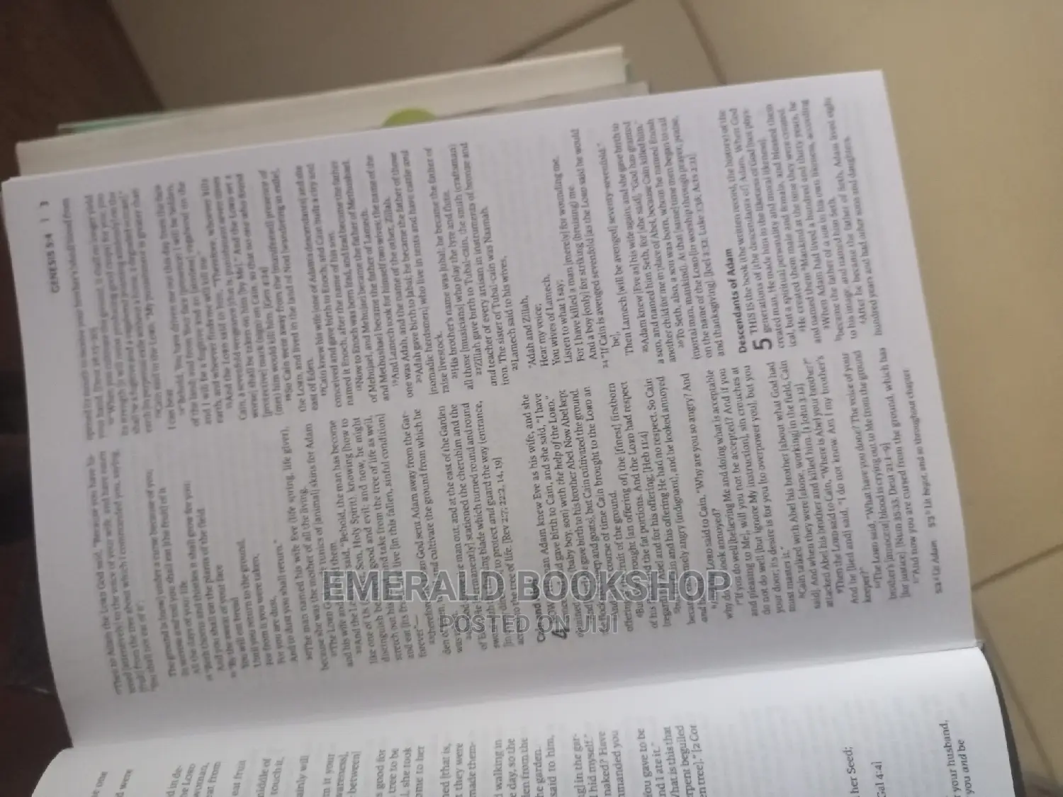 The Amplified Bible