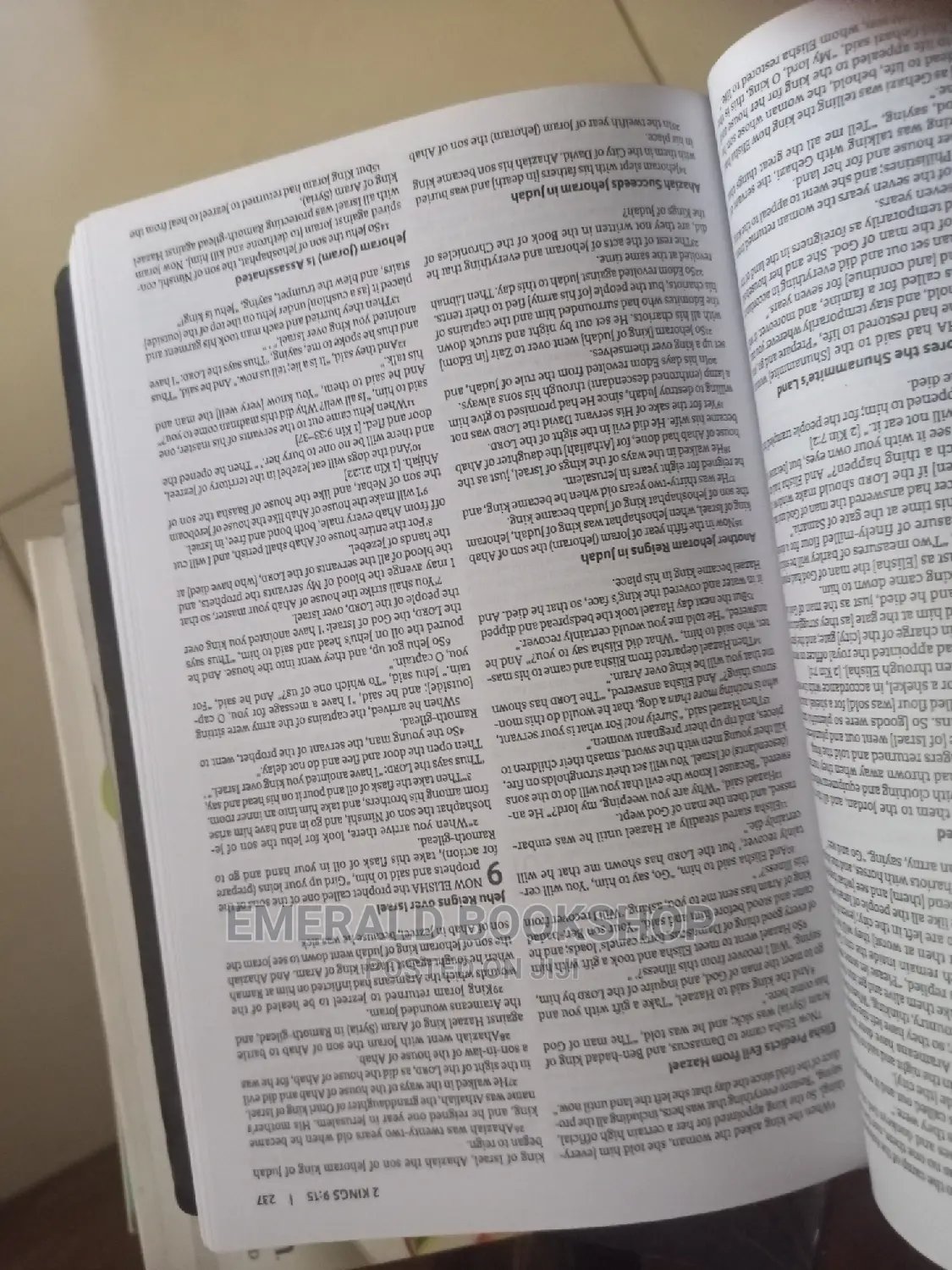 The Amplified Bible