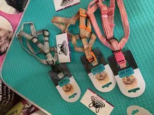 Harness for Toy Dogs Size