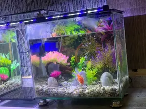 Double TV Stand Aquarium