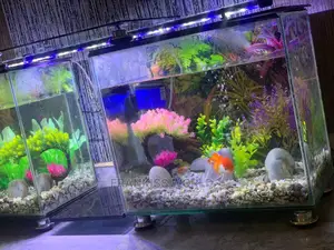 Double TV Stand Aquarium