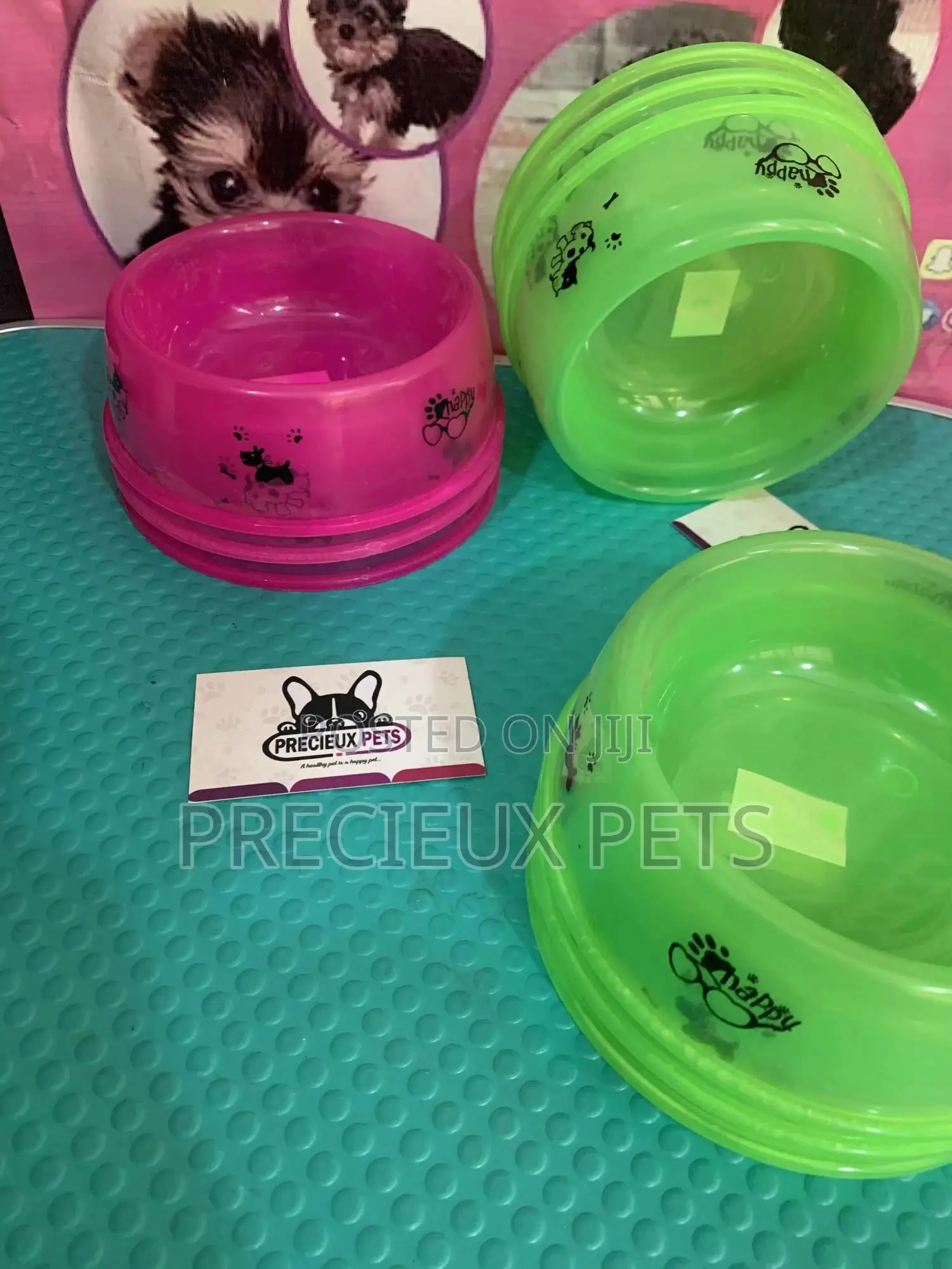 Small Size Ceramic Bowls for Cats and Dogs