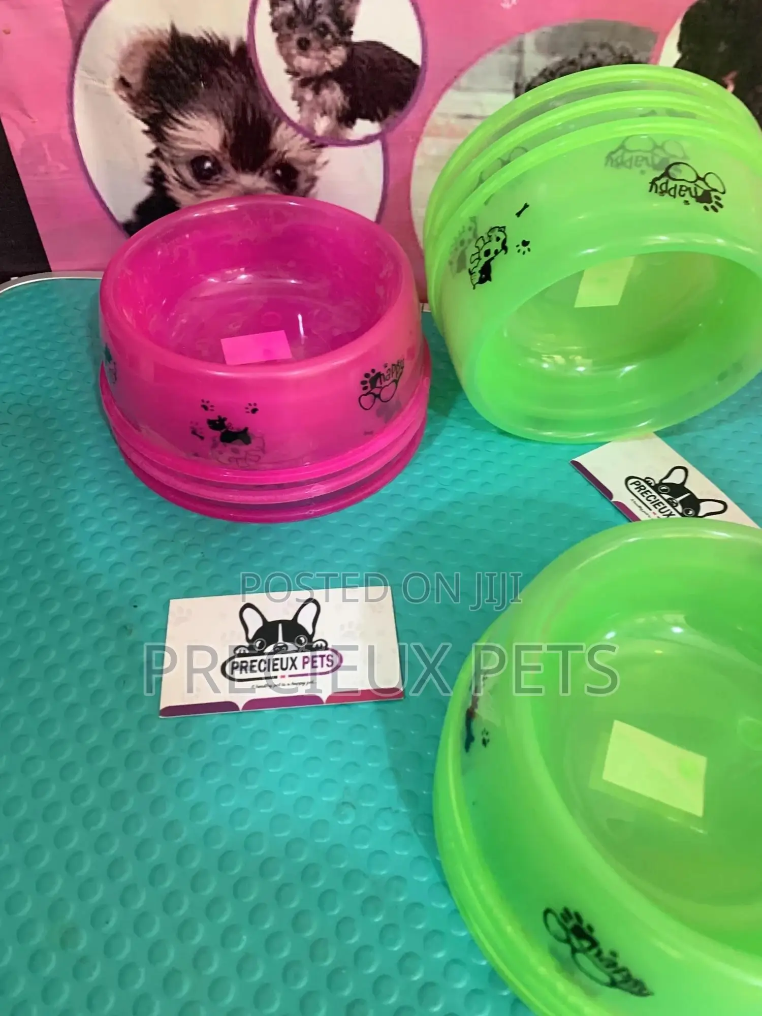 Small Size Ceramic Bowls for Cats and Dogs