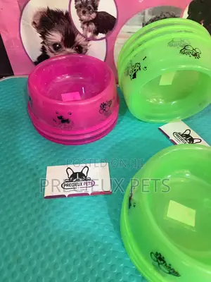 Small Size Ceramic Bowls for Cats and Dogs