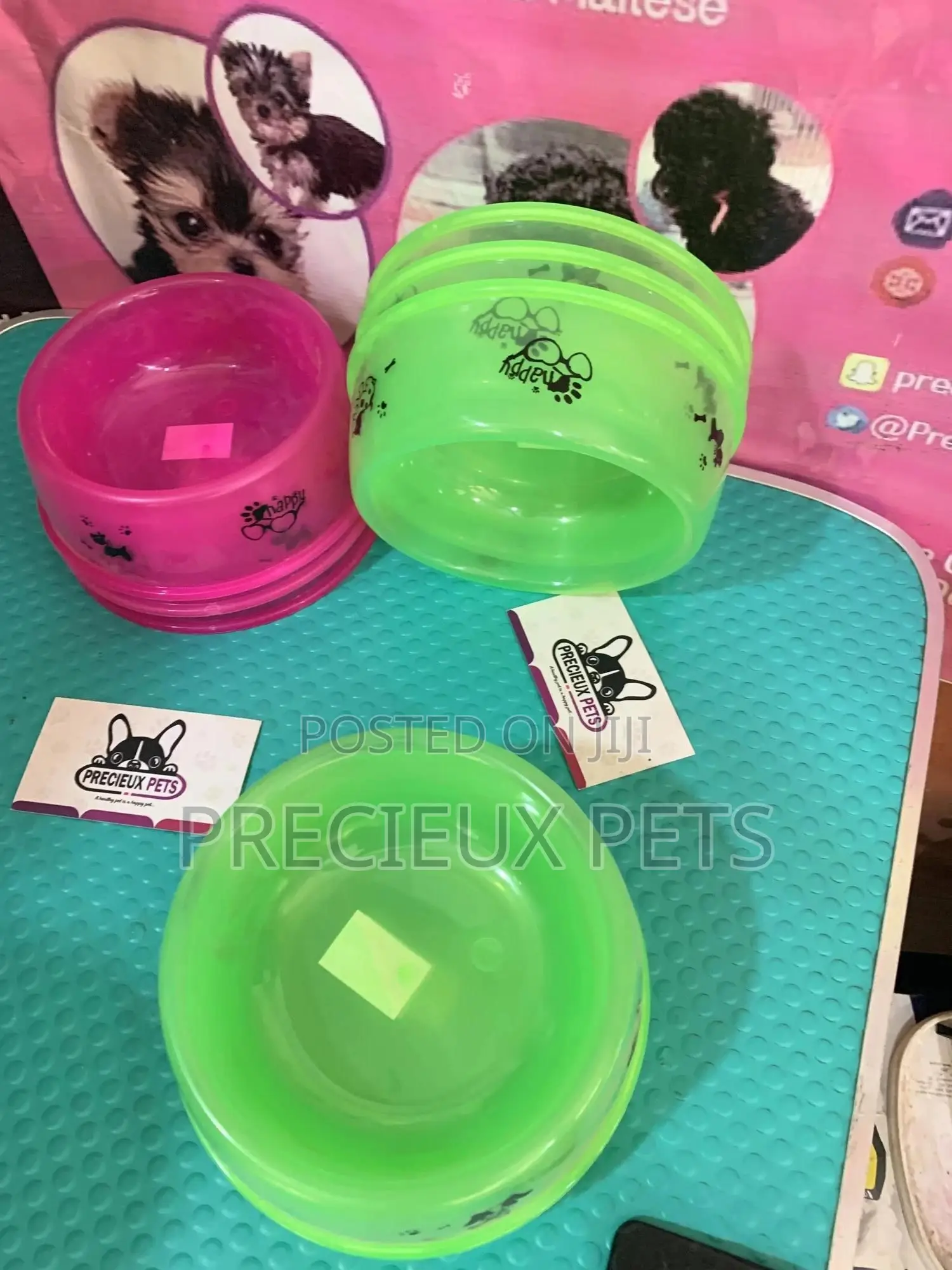 Small Size Ceramic Bowls for Cats and Dogs
