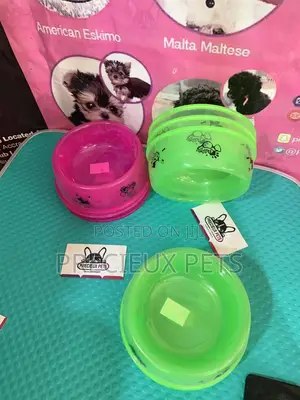Small Size Ceramic Bowls for Cats and Dogs
