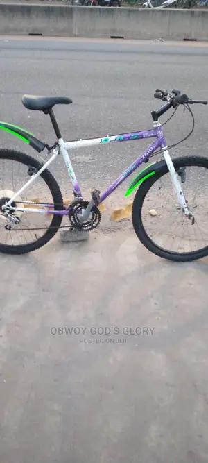 Love White Mountain Bike