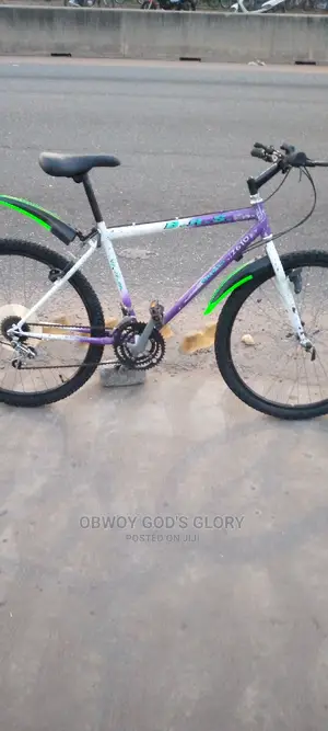 Love White Mountain Bike