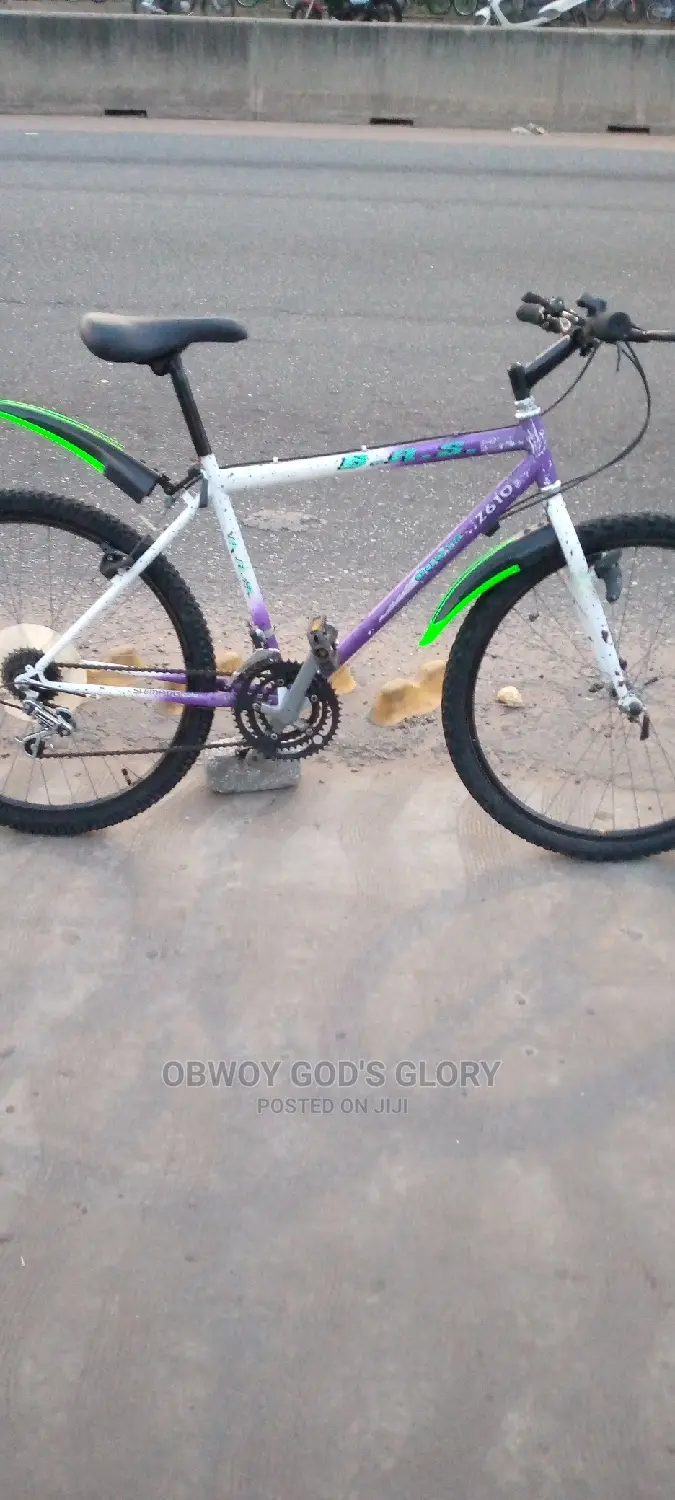 Love White Mountain Bike